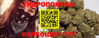 шишки Гусь-Хрустальный