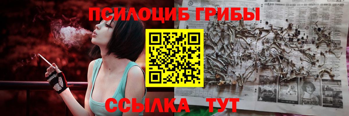 Галлюциногенные грибы мицелий Новороссийск